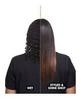 duet style 2 in 1 hot air styler